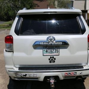 Rear view, tree damage in lower left side of screen on rear bumper cover.