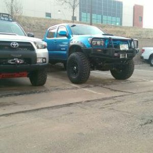 Not-Black-Betty has a Taco friend.