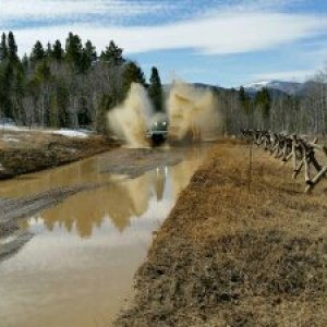 Found a little puddle, beautiful day.