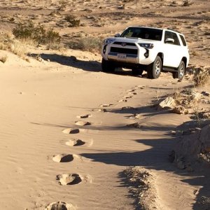4runner