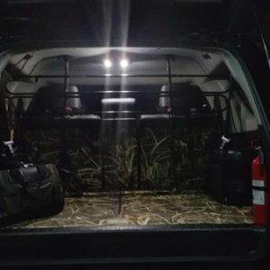 Rear CanvasBack Covers and New Interior LEDs