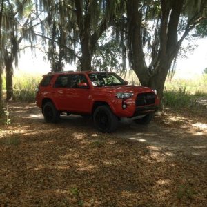 4runner getting some sahde