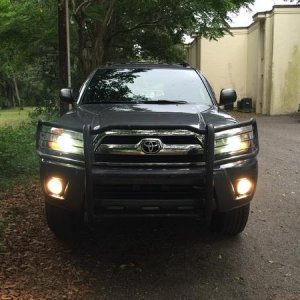 BRUSH GUARD WITH LIGHTS