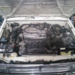 Replaced almost all vacuum tubing, repainted battery hold down, replaced all three belts (sizes from parts house were big, had to go back for one side