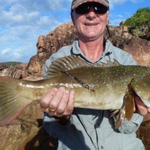 A barred coastal Coral Trout caught (and released) on my last hiking trip to Hinchinbrook.