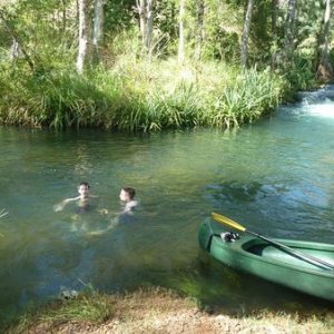 Swimming with the Freshwater crocs... but they don't attack you like the big saltwater ones.