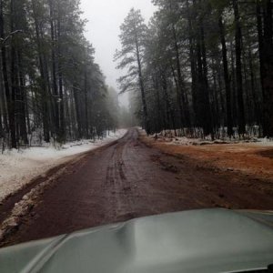 Stoneman Lake Road A primitive road linking I17 to Lake Mary Road in AZ.  Lots of camping here.