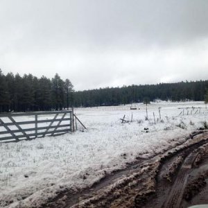 Yeah, this is Arizona in May