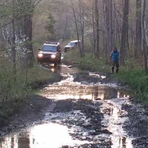 Old Florida Rd 2015