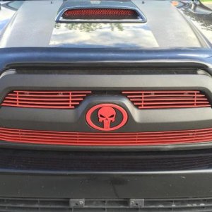 Painted Grille Inserts