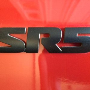 Dipped SR5 tags. Dust is more visible around tags after dip.