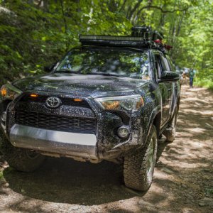Tray Mountain GA