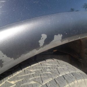 Fender Flares before paint