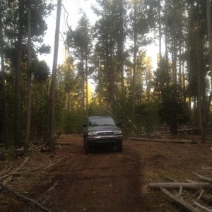 Hunting Trip