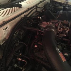 Messy passenger side hoses/wiring