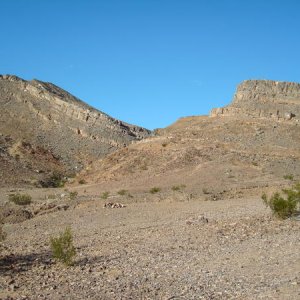 DSC00867