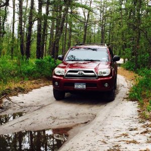 Wharton state forest quick trip