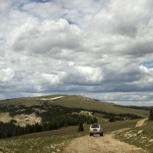 fj t4r
