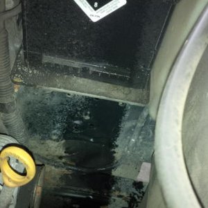Leaky rad #3