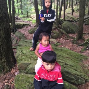 Trip3