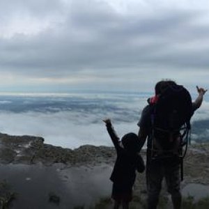 Trip4