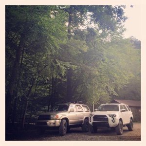 Blue Ridge WMA, GA