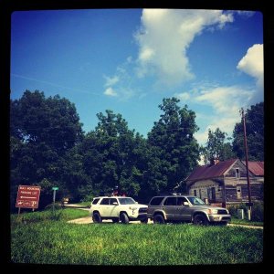 Blue Ridge WMA, GA