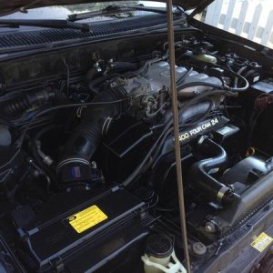 degrease and detail after timing belt