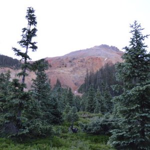 DSC 0089