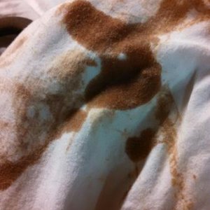 Oil from the inside the intake.