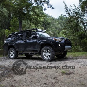 Ocala National Forest
