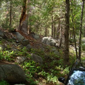 DSC02027