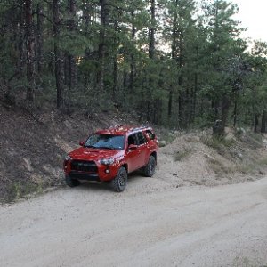 Side trail near the Beeline/Senator intersection