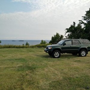 Lake Ontario grass