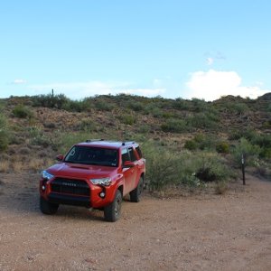 Hiking trail at the bottom of Beeline