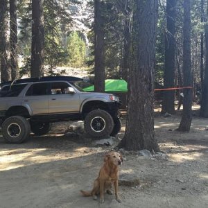 Kato dog at "our" Canyon Creek campground