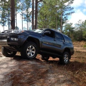 Ocala National Forest