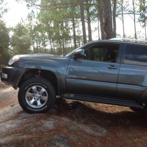 Ocala National Forest