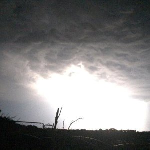 IMG 0600