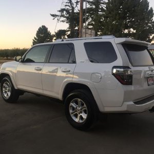 July 29th, Just got the newest member of the family home!