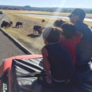 Yellowstone