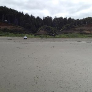On the Washington coast, where you can still drive onto the beach.