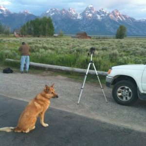 At the Grand Tetons, waking before sunrise, with Wallis the dog (RIP) taking a picture of the iconic barn.