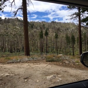 Some of the recovering burn areas north of Big Bear Lake.