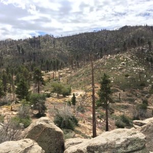 Hiked out to a boulder garden and couldn't help but take a pic of the vehicle that got us here.
