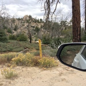 Found my buddies favorite camp site.  Recently reopened after the nearby wildfires.