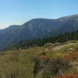IMG 20150919 141715 panorama