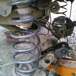new springs