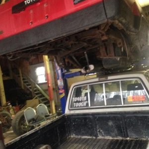 Love our Toyotas
