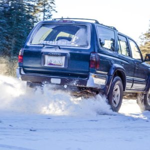 bearsnow2 23